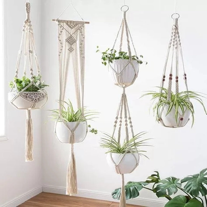 Hanging Green Plant